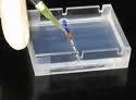 Agarosa Molecular Biology Grade Agarosa Molecular Biology Grade